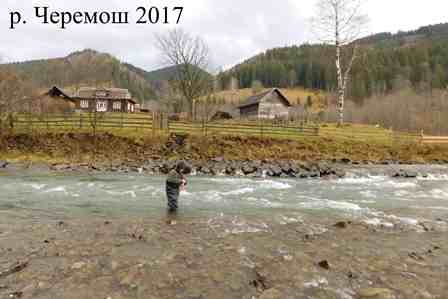 Річка Черемош, 2017