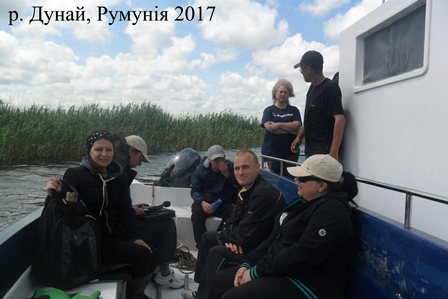 Дунай, Румунія, 2017